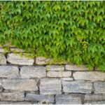 Upgrading Your Property: The Significance of Retaining Wall Services and Land Surveying